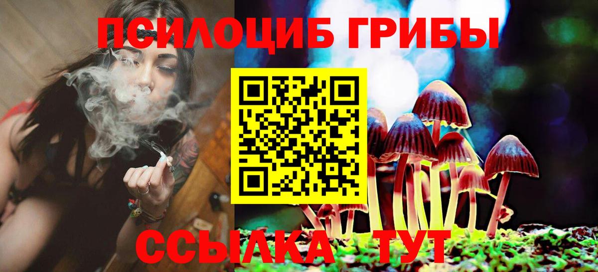 Будённовск  Галлюциногенные грибы MAGIC MUSHROOMS  Вход с VPN  Псилоцибиновые грибы Psilocybine cubensis 